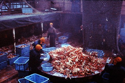 My beautiful picture